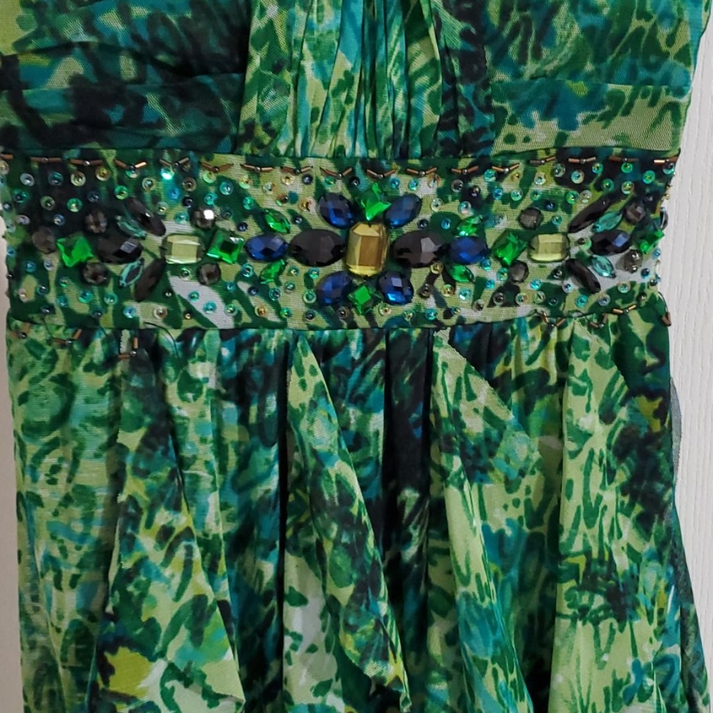 Dress - Picture 4 of 9